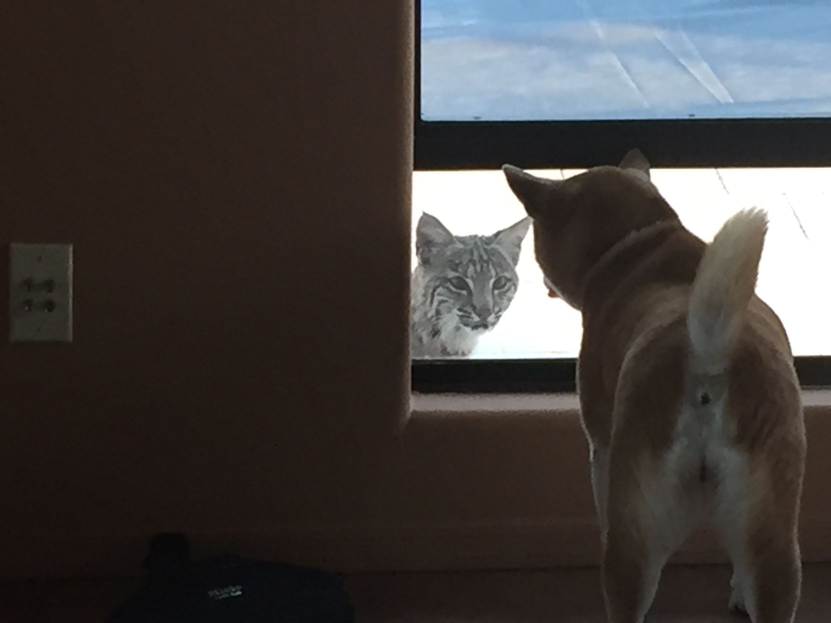 Making friends